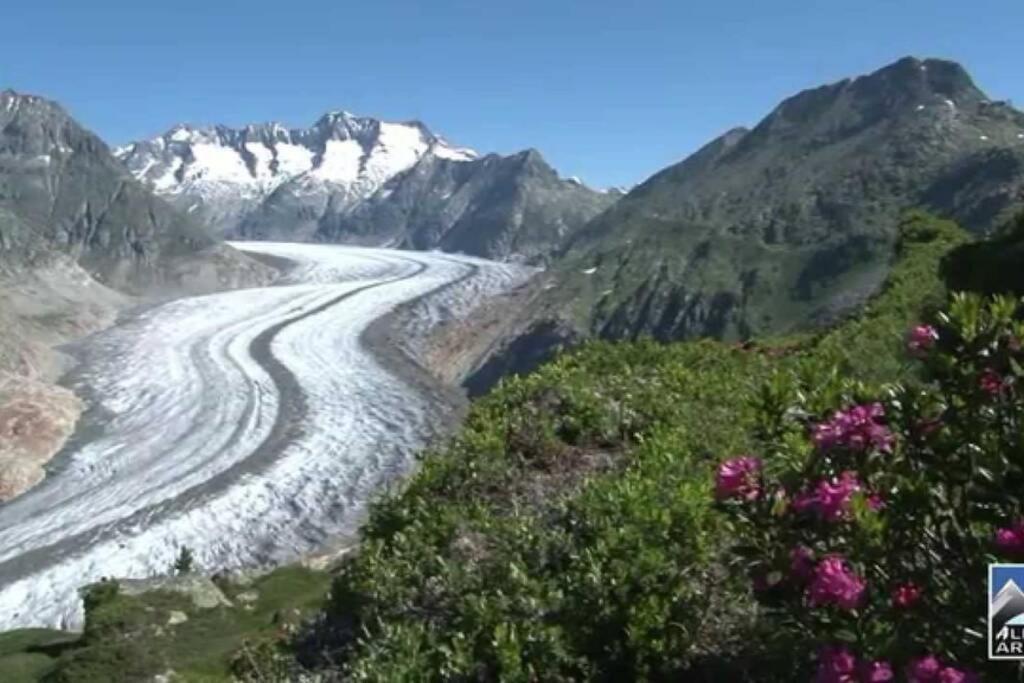 Perle Des Alpes, Bettmeralp, Switzerland Exteriör bild